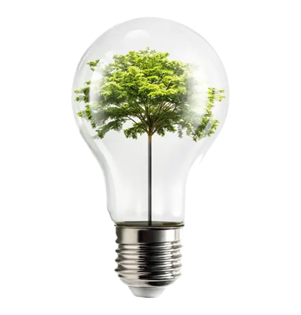 Eco Friendly Performance, Kyocera, Environment, Coastal Document Solutions